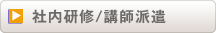 社内研修/講師派遣